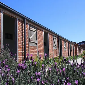  Resort Dusty Hill Vineyard - Australia